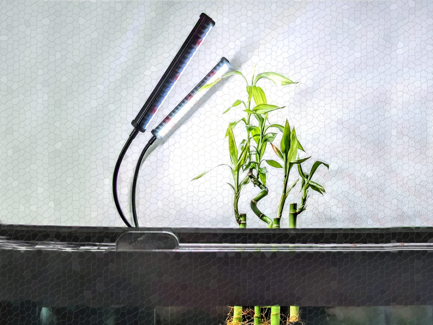 Aquarium lucky bamboo holder