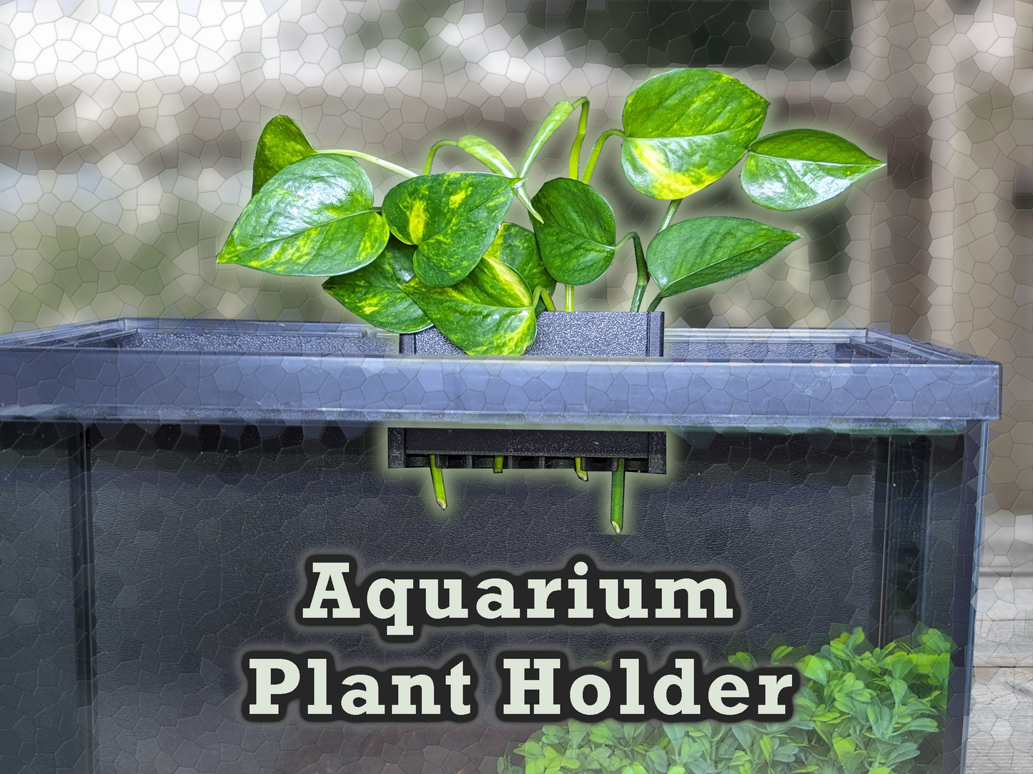 Aqua Pothos - aquarium plant holder
