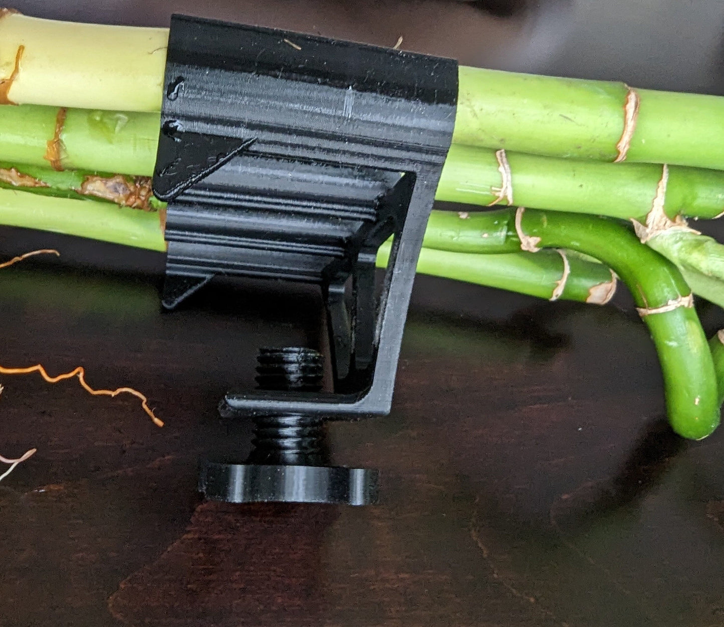 Aquarium lucky bamboo holder