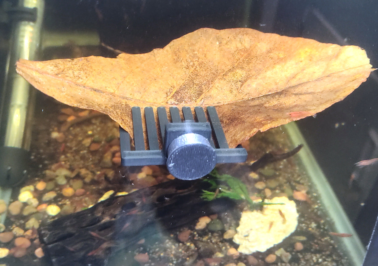 Magnetic aquarium leaf holder for betta fish and shrimp tanks