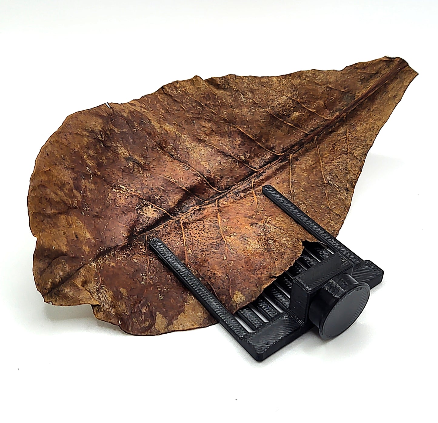 Magnetic aquarium leaf holder for betta fish and shrimp tanks