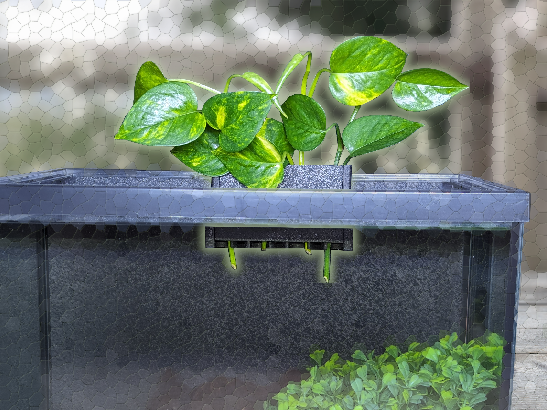 Emersed Plant Holders – Tell3D LLC