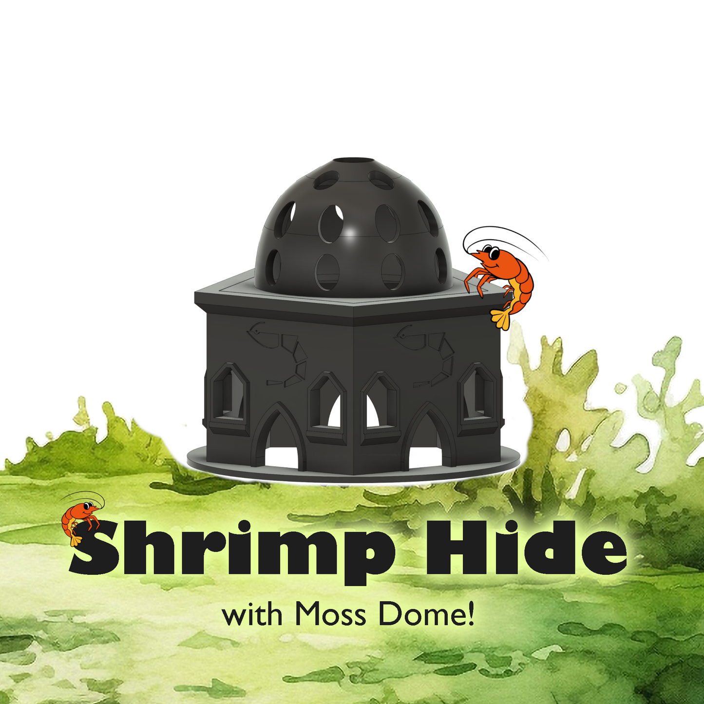 Shrimp Hide with moss dome