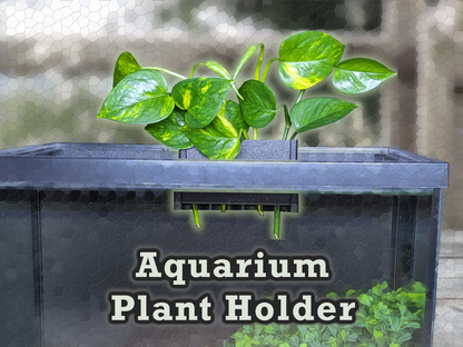diy pothos aquarium holder Aqua Pothos