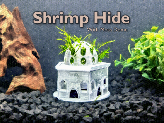 Shrimp Hide with moss dome