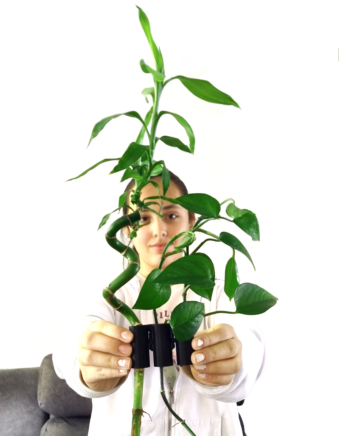 Aqua Pothos Lite - aquarium plant holder that hangs on the rim of a tank