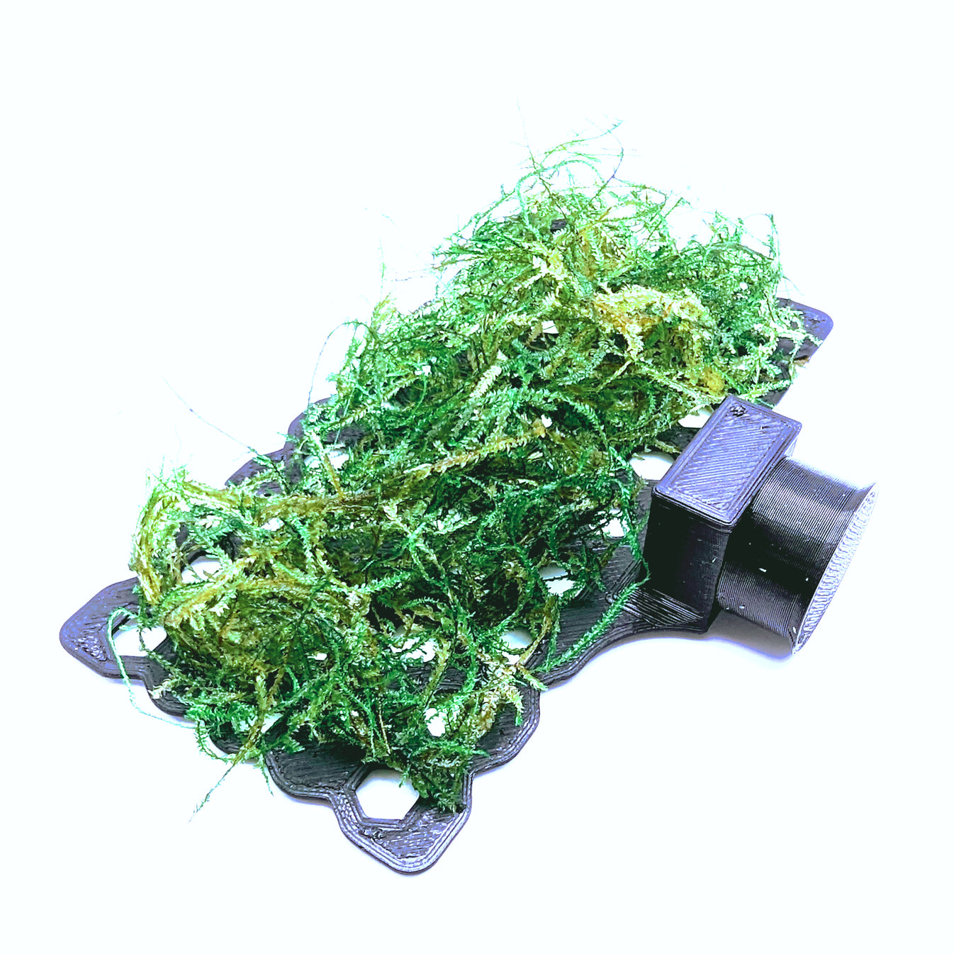 Rectangle aquarium moss ledge for betta fish and shrimp aquar
